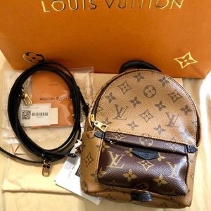 Louis Vuitton Palm Spring Mini